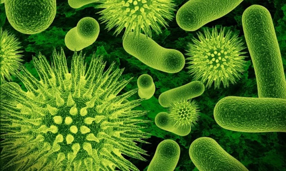 7 υπαρκτοί θανατηφόροι ιοί που υπάρχουν γύρω μας